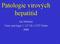 Patologie virových hepatitid. Jan Stříteský Ústav patologie 1. LF UK a VFN Praha 2008