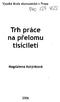 Vysoká škola ekonomická v Praze. Trh práce na přelomu. tisíciletí. Magdalena Kotýnková