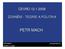 CEVRO 12.1.2008 ZDANĚNÍ - TEORIE A POLITIKA PETR MACH PETR MACH CEVRO 12.1.2008