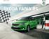 SIMPLY CLEVER ŠKODA FABIA RS