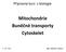 Mitochondrie Buněčné transporty Cytoskelet