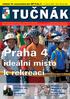 Rozpočet Městské části. Některé role jsou bonbonky strana 12. Praha 4. na rok 2008 strana 6 7