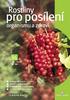 Rostliny pro posílení organismu a zdraví. Ivan Jablonský, Jiří Bajer
