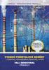 VYSOKÉ PRŮMYSLOVÉ KOMÍNY. - výstavba, rekonstrukce, kontroly, revize TALL INDUSTRIAL. chimneys