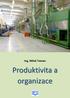 Produktivita a organizace