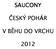 SAUCONY ČESKÝ POHÁR V BĚHU DO VRCHU