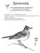 * pozvánka na VVT Hradecké lesy 2010 * konference Metody a výsledky výzkumů ptačích populací V 2010 * zprávy z výboru * mapování ptáků Hradce Králové