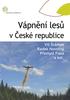 Vápnění lesů v České republice