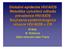 lní epidemie HIV/AIDS Metodika vytvářen prevalence HIV/AIDS asná epidemiologická situace HIV/AIDS v ČR