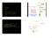 Regulace translace REGULACE TRANSLACE PROTEINY A JEJICH POSTTRANSLAČNÍ MODIFIKACE. 1. Translační aparát. 2. Translace