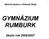 Výroční zpráva o činnosti školy GYMNÁZIUM RUMBURK. školní rok 2006/2007