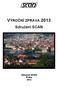 VÝROČNÍ ZPRÁVA 2013. Sdružení SCAN