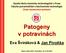 Vysoká škola chemicko-technologická v Praze Fakulta potravinářské a biochemické technologie Ústav konzervace potravin Patogeny v potravinách