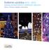 Světelná výzdoba 2012-2013 katalog profesionálních světelných dekorací. čechy morava slezsko slovensko