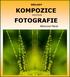 KOMPOZICE FOTOGRAFIE