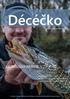 Décéčko V TOMTO ČÍSLE NAJDETE: Číslo 2 Květen/Marec 2015 - CORMORAN PRO CARP -...ALE AJ MUŠKÁRENIE JE FAJN - CORMORAN GF FEEDER PRO