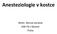 Anesteziologie v kostce. MUDr. Michal Horáček KAR FN v Motole Praha