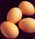 Otázka: Jak poznáme, že je ve skořápce vejce trhlina, i když ji neobjevíme očima?