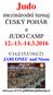 Judo. mezinárodní turnaj ČESKÝ POHÁR a JUDO CAMP 12.-13.-14.3.2016. U14,U15,U18,U21 JABLONEC nad Nisou. Informace:www.jablonecjudocup.