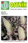 Časopis Klubu kaktusářů v Ostravě. Číslo 424. Ročník 42. Listopad 2013. Orostachys malacophylla var. iwarenge (Makino) H. Ohba