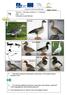 strunatci Chordata: obratlovci Vertebrata ptáci - Aves vrubozobí (Anseriformes)