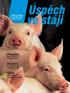 Prasata. Krmivo. Skot NOVÉ. Odborný časopis pro moderní chov zvířat a výživu. Vyšší užitkovost se SchaumaLac. Bonsilage Forte ověřena v praxi