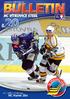 www.hc-vitkovice.cz 9. 1. 2007 v 17.00 hod. HC Hamé Zlín