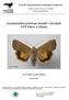 Inventarizační průzkum motýlů v bývalých VVP Pístov a Vílanec