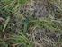 Vybrané výsledky kroužkování hnízdní populace slavíka obecného (Luscinia megarhynchos) na Mladoboleslavsku
