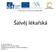 Šalvěj lékařská. VY_52_INOVACE_92 Vzdělávací oblast: člověk a příroda Vzdělávací obor (předmět): Praktika z přírodopisu Ročník: 6., 7.