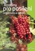 Rostliny pro posílení organismu a zdraví. Ivan Jablonský, Jiří Bajer