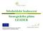 Střednědobé hodnocení LEADER. Evropský zemědělský fond pro rozvoj venkova: Evropa investuje do venkovských oblastí