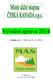 Výroční zpráva 2014. Období od 1. 1. 2014 do 31. 12. 2014. 15. března 2015 Autor: Ing. Mgr. Vilma Szutová