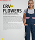 CRV FLOWERS. BýT ženou ZA JAKýCHKOLI PODMíNEK BY CZUć SIę KOBIECO W KAŻDEj SYTUAcjI NEW PDF  COLLECTION