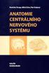 Anatomie 3 Centrální nervový systém