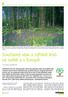 Současný stav a výhled lesů ve světě a v Evropě