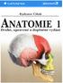 OBSAH. ANATOMICKÉ NÁZVOSLOVÍ Označení rovin těla...53 Označení směrů Označení hlavních částí těla...56