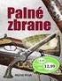 PROBLEMATIKA BEZPEČNOSTI PŘI POUŽÍVÁNÍ PALNÝCH ZBRANÍ V PRŮMYSLU KOMERČNÍ BEZPEČNOSTI