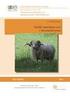 Využití inseminace ovcí v chovatelské praxi