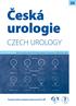 Česká urologie CZECH UROLOGY. Detrusor. Normo active. Urethral sphincter Lumbosacral. Suprapontine Detrusor. Overactive. Urethral sphincter