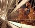 Národní program tlumení salmonel v reprodukčních chovech kura domácího
