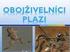 4. Savci. 1. Obratlovci. 2. Plazi. 5. Obojživelníci