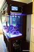 High Tech Aquarium Ecology