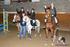 Ponyhandicap ZP - kvalifikace SŠP pro děti do 16 let na pony všech kategorií