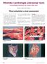 Klinická kardiologie (obrazový text) Current Medical Literature Ltd., London 1998, 438 s.