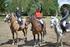 LETNÍ JEZDECKÉ ZÁVODY - Heroutice. Ponyhandicap ZP kvalifikace SŠP pro děti do 16 let na pony všech kategorií