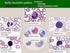 Imunologické metody imunitní odpovědí humorální typ protilátek odpověď na buněčné úrovni plazmové buňky Antigenní determinant neboli epitop