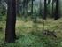 Dotační program Příspěvky na hospodaření v lesích v Moravskoslezském kraji pro rok 2014