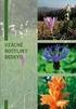 Vztah mezi počtem květů a celkovou biomasou rostliny CELKE EM. slá pro KVETU = závi