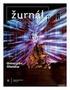 Cizí těleso v srdci. Téma přednášky: Autor: Spoluautoři: Miroslav Horák,FN Hradec Králové,Kardiochirurgická klinika